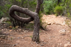 Bagnols-en-Forêt