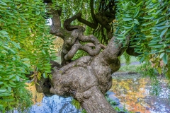 Roubaix (Parc Barbieux)