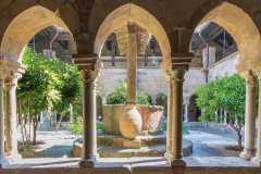 Cloître de la cathédrale de Fréjus