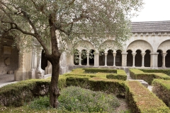 Vaison la Romaine