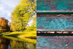 Parc Barbieux