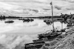 Bords de Loire