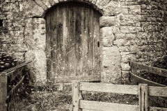 Portes-2020-2
