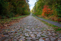 Novembre-21