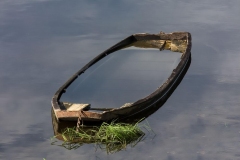 Barque